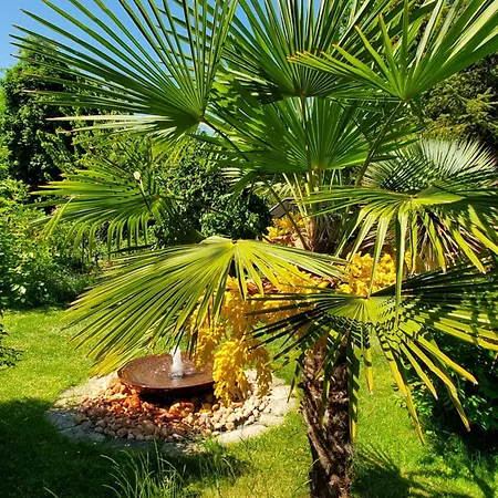 Helle 120 Qm Mit Terrasse Und Gartenblick *