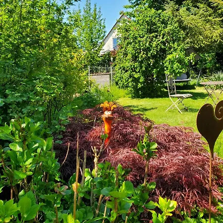 Helle 120 Qm Mit Terrasse Und Gartenblick